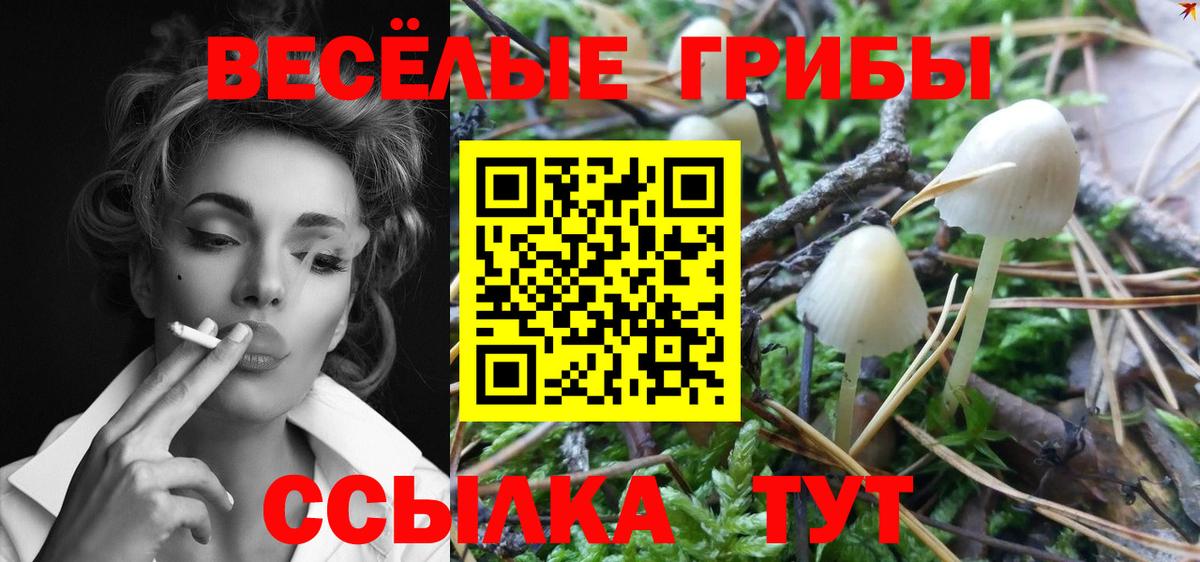 Мыски  Галлюциногенные грибы ЛСД  купить   Галлюциногенные грибы Magic Shrooms  Вход с VPN 